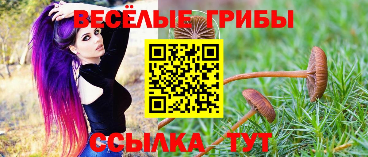 Галлюциногенные грибы мицелий Урай